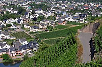 WRC-D 20-08-2010 007.jpg